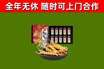 汉阳区回收冬虫夏草价格
